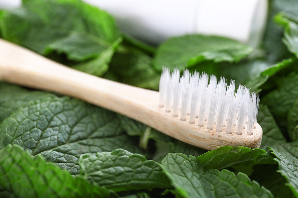 All natural organic toothpaste and mouthrinse-image of toothbrush by ecoism